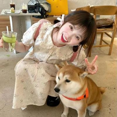 哈里斯夫人闯巴黎